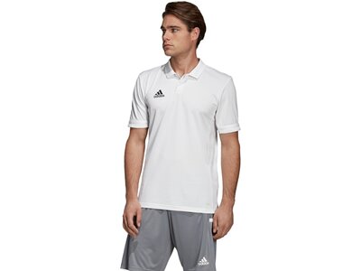 ADIDAS Fußball - Teamsport Textil - Poloshirts Team 19 Poloshirt Grau