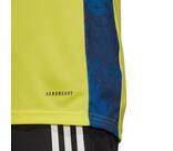 Vorschau: ADIDAS Fußball - Teamsport Textil - Torwarttrikots AdiPro 20 Torwarttrikot langarm