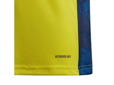 ADIDAS Fußball - Teamsport Textil - Torwarttrikots Adipro 20 TW-Trikot langarm Kids Gelb
