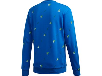 ADIDAS Fußball - Textilien - Sweatshirts Crew GFX Sweatshirt Blau