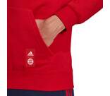 Vorschau: ADIDAS Replicas - Sweatshirts - National FC Bayern München DNA Graphic Hoody