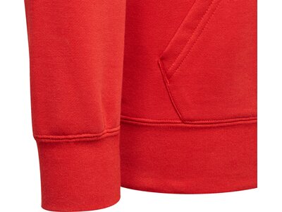 ADIDAS Replicas - Sweatshirts - National FC Bayern München DNA Graphic Hoody Rot