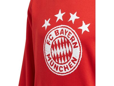 ADIDAS Replicas - Sweatshirts - National FC Bayern München DNA Graphic Hoody Rot