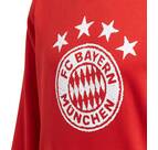 Vorschau: ADIDAS Replicas - Sweatshirts - National FC Bayern München DNA Graphic Hoody