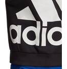 Vorschau: ADIDAS Fußball - Textilien - Sweatshirts Big Badge of Sport Boxy Hoody