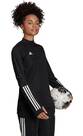 Vorschau: ADIDAS Fußball - Teamsport Textil - Sweatshirts Condivo 20 Trainingstop LA Damen