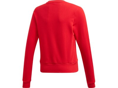 adidas Kinder Bold Sweatshirt Rot