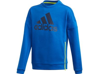 adidas Kinder Branded Sweatshirt Blau