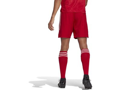 adidas Herren Condivo 21 Primeblue Shorts Rot