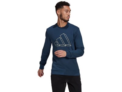 adidas Herren adidas Sportswear Graphic Sweatshirt Blau