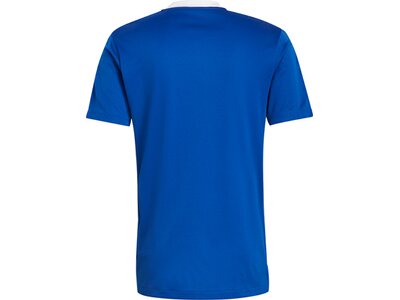 ADIDAS Fußball - Teamsport Textil - T-Shirts Tiro 21 Trainingsshirt ADIDAS Fußball - Teamsport Texti Blau