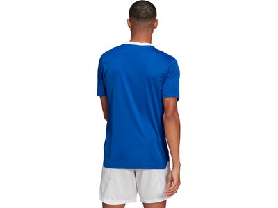 ADIDAS Fußball - Teamsport Textil - T-Shirts Tiro 21 Trainingsshirt ADIDAS Fußball - Teamsport Texti Blau