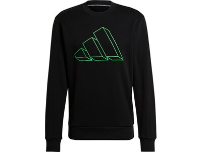 adidas Herren Sportswear Graphic Sweatshirt Schwarz