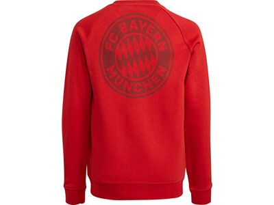 adidas Kinder FC Bayern München Sweatshirt Rot