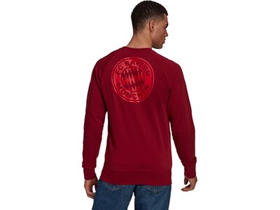 adidas Herren FC Bayern München Graphic Sweatshirt Rot