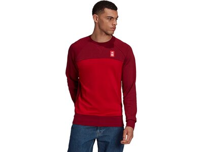 adidas Herren FC Bayern München Graphic Sweatshirt Rot