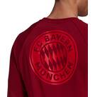Vorschau: adidas Herren FC Bayern München Graphic Sweatshirt