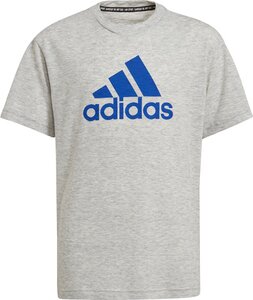 ADIDAS Kinder Shirt T-Shirt Badge of Sport Sum