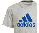 Vorschau: ADIDAS Kinder Shirt T-Shirt Badge of Sport Sum