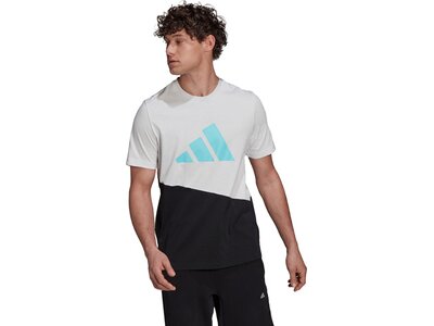 adidas Herren Graphic T-Shirt Schwarz