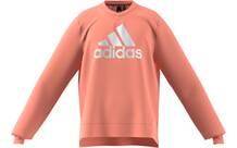 Vorschau: adidas Kinder Future Icons Logo Crew Sweatshirt