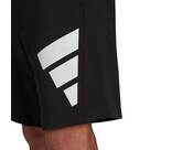Vorschau: adidas Herren Sportswear Future Icons Logo Graphic Shorts