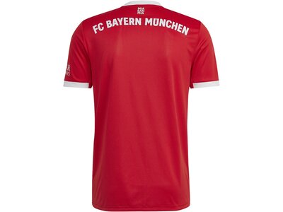 adidas Herren FC Bayern München 22/23 Heimtrikot Rot