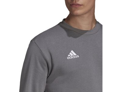 ADIDAS Herren Sweatshirt Entrada 22 (normal & lang) Grau