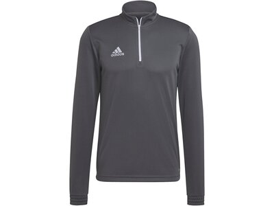 ADIDAS Herren Sweatshirt Entrada 22 Training (normal & lang) Grau