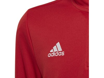 ADIDAS Kinder Sweatshirt Entrada 22 Training Rot