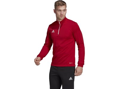 ADIDAS Herren Sweatshirt Entrada 22 Training (normal & lang) Rot