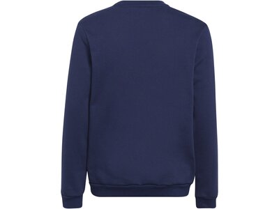 ADIDAS Kinder Sweatshirt ENT22 SW TOPY Blau