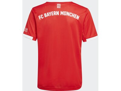 adidas Kinder FC Bayern München 22/23 Heimtrikot Rot