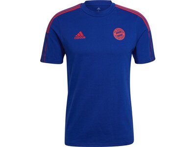 adidas Herren FC Bayern München Tiro T-Shirt Blau