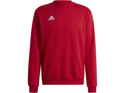 ADIDAS Herren Sweatshirt Entrada 22 (normal & lang) Rot