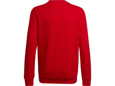 adidas Kinder Essentials Sweatshirt Rot