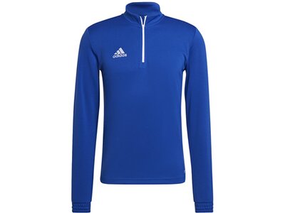 ADIDAS Herren Sweatshirt Entrada 22 Training (normal & lang) Blau