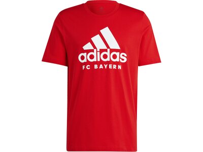 ADIDAS Herren Fanshirt FC Bayern München DNA Graphic Rot