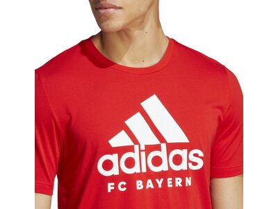 ADIDAS Herren Fanshirt FC Bayern München DNA Graphic Rot