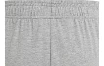 Vorschau: ADIDAS Kinder Shorts Essentials Big Logo Cotton