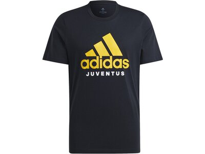 ADIDAS Herren Fanshirt Juventus Turin DNA Graphic Schwarz