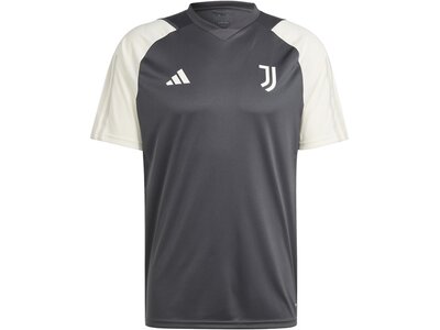 ADIDAS Herren Trikot Juventus Turin Tiro 23 Grau