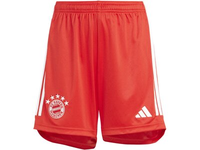 ADIDAS Kinder Teamhose FC Bayern München 23/24 Kids Heim Rot