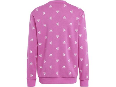 ADIDAS Kinder Sweatshirt G BLUV SWT Pink