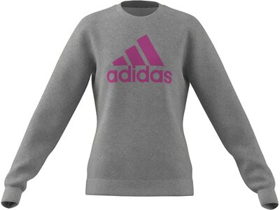 ADIDAS Kinder Essentials Big Logo Cotton Sweatshirt Grau