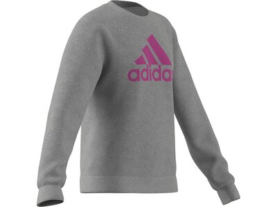 ADIDAS Kinder Essentials Big Logo Cotton Sweatshirt Grau