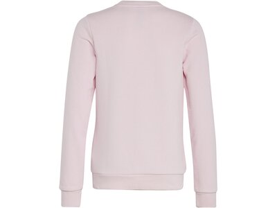 ADIDAS Kinder Sweatshirt Essentials Big Logo Cotton pink