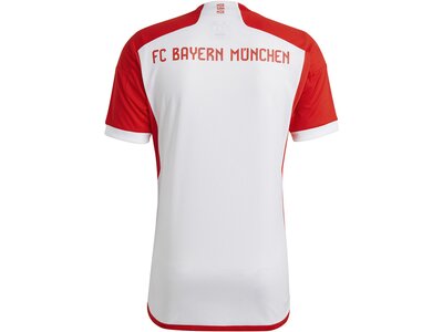 ADIDAS Herren Trikot FC Bayern München 23/24 Heim Grau