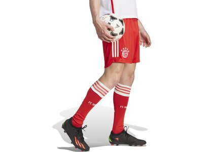 ADIDAS Herren Teamhose FC Bayern München 23/24 Heim Rot