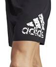 Vorschau: ADIDAS Herren Shorts Big Logo CLX Short-Length